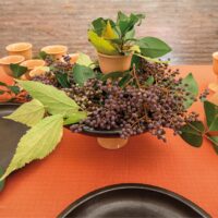 Symposium! Visita con degustazione di vini